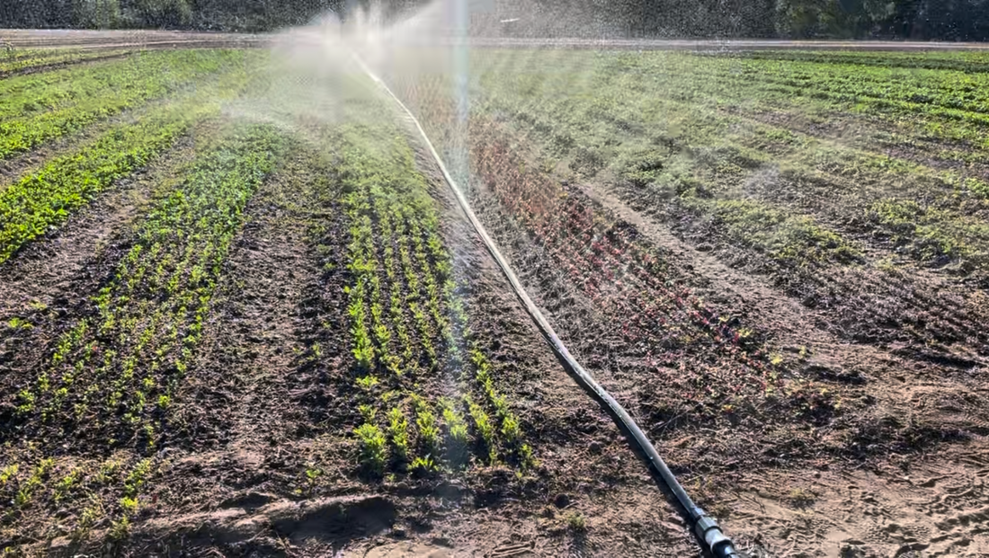 What is Sumisansui Irrigation?