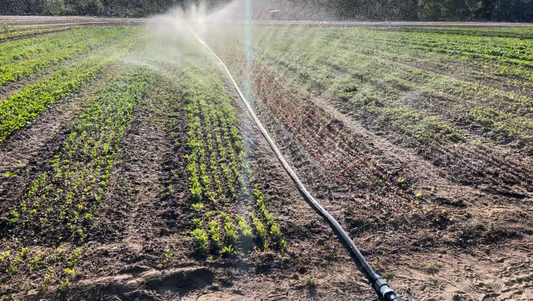 What is Sumisansui Irrigation?