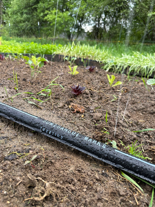 Sumisansui Mark II irrigation tube with toad or frog gentle rain irrigation of seedlings and tranplants plus germination of seeds. Sumi Soaker sumisoaker max Mark 2 vegetable farm irrigation