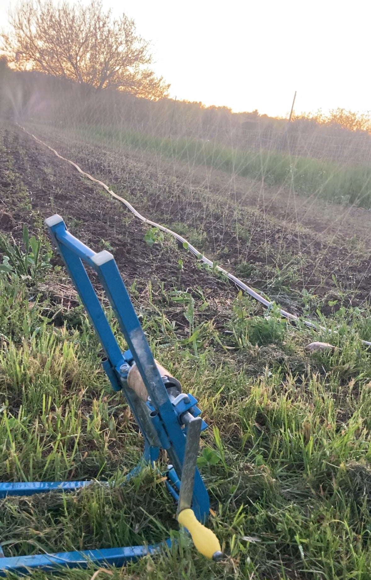 Sumisansui Mark II irrigation tube with M Winder gentle rain irrigation of seedlings and tranplants plus germination of seeds. Sumi Soaker sumisoaker max Mark 2 vegetable farm irrigation